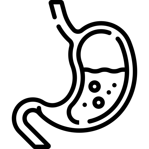 stomach (1)