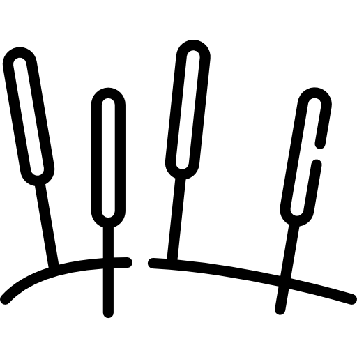 acupuncture (2)